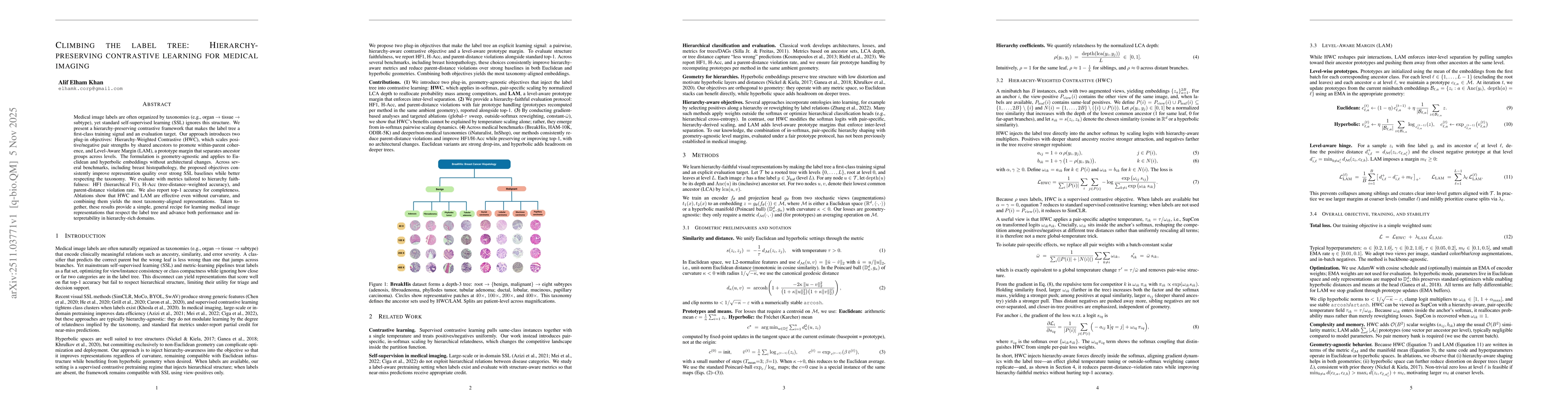 Thumbnail for Climbing the label tree: Hierarchy-preserving contrastive learning for medical imaging