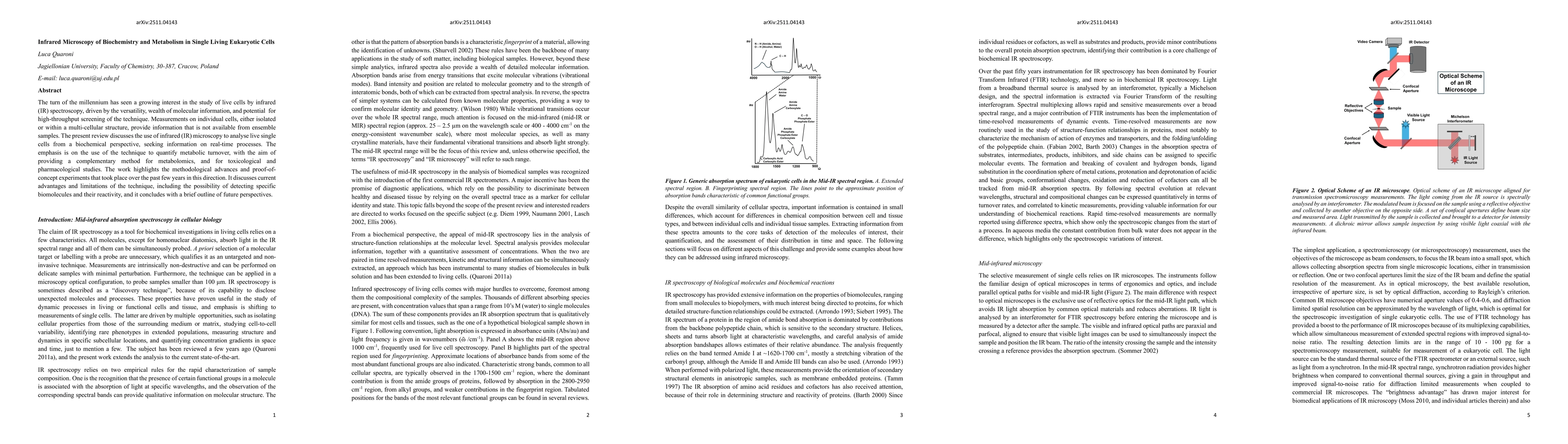 Thumbnail for Infrared Microscopy of Biochemistry and Metabolism in Single Living Eukaryotic Cells