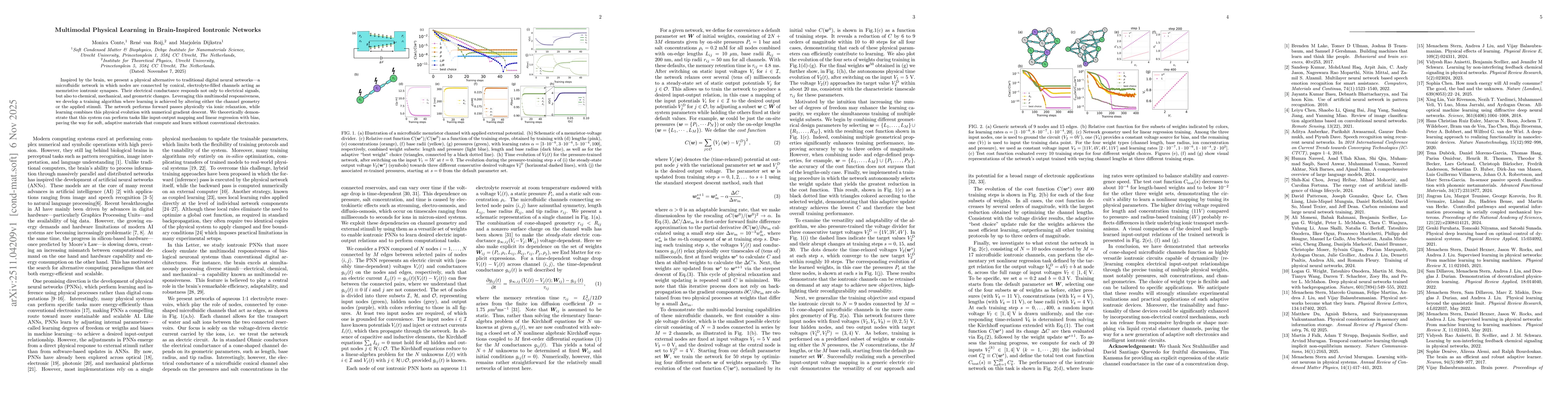 Thumbnail for Multimodal Physical Learning in Brain-Inspired Iontronic Networks