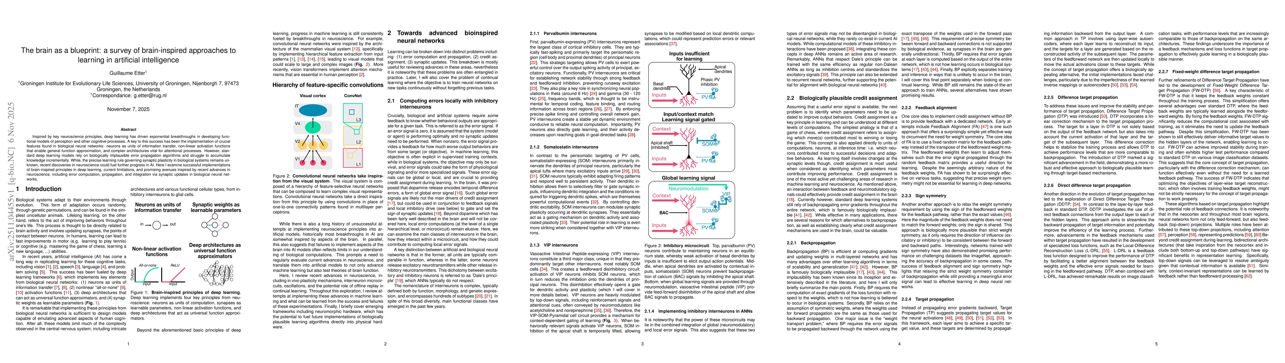 Thumbnail for The brain as a blueprint: a survey of brain-inspired approaches to learning in artificial intelligence
