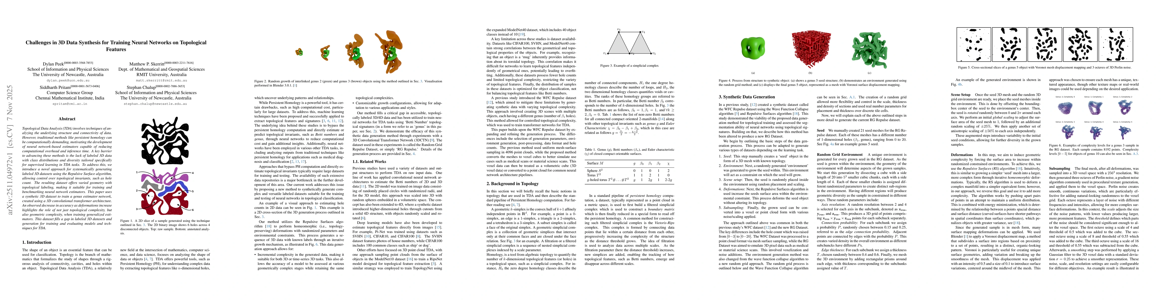 Thumbnail for Challenges in 3D Data Synthesis for Training Neural Networks on Topological Features