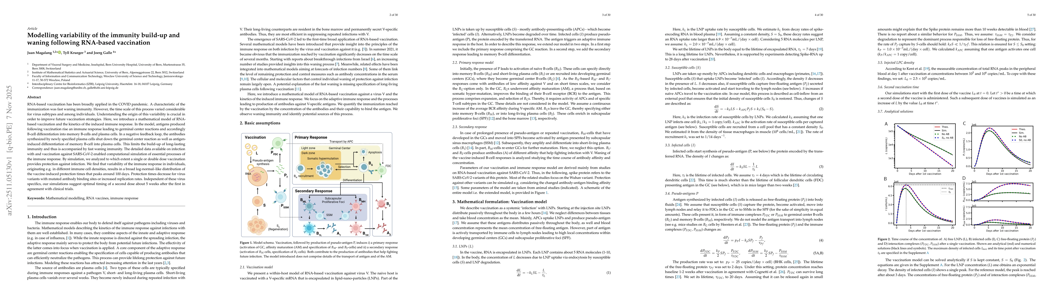 Thumbnail for Modelling variability of the immunity build-up and waning following RNA-based vaccination