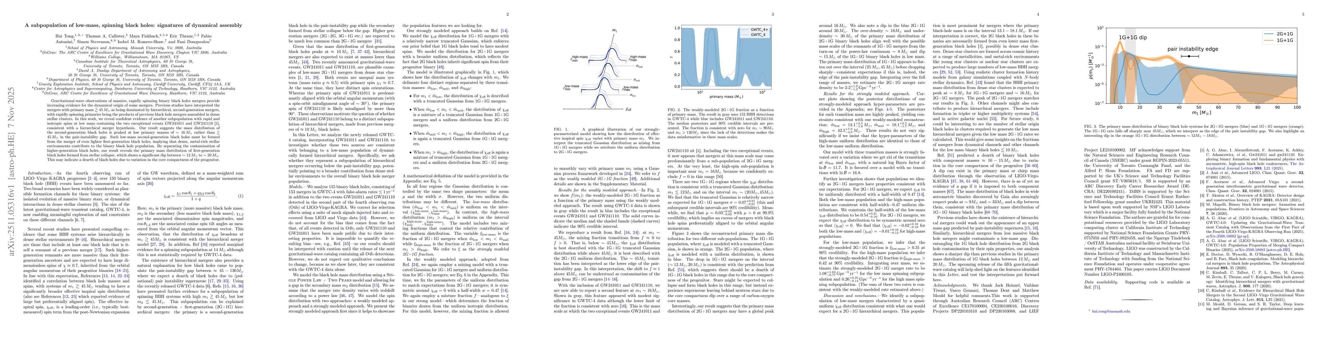 Thumbnail for A subpopulation of low-mass, spinning black holes: signatures of dynamical assembly