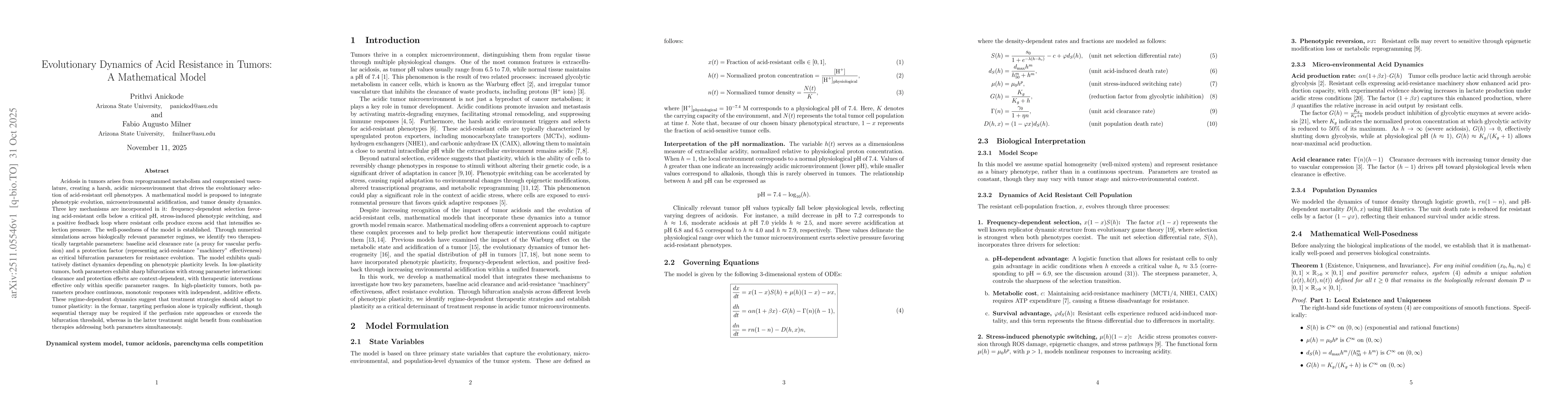 Thumbnail for Evolutionary Dynamics of Acid Resistance in Tumors: A Mathematical Model
