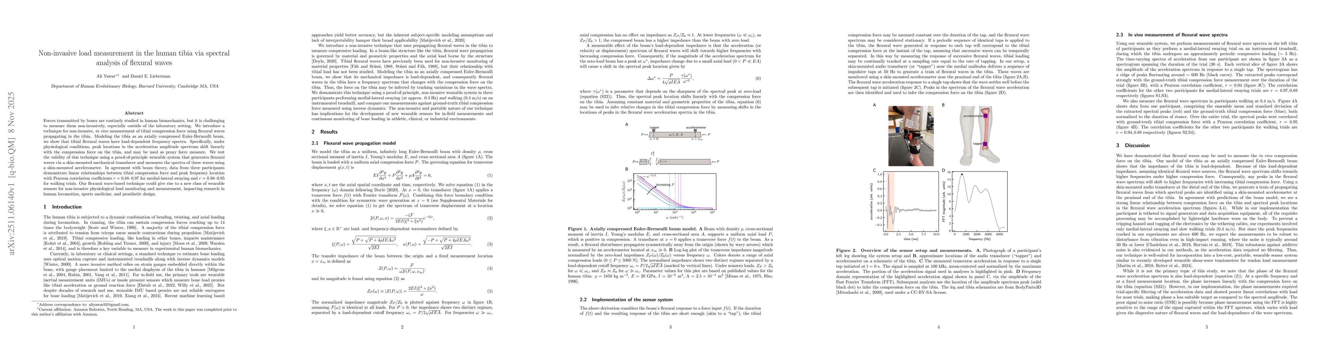 Thumbnail for Non-invasive load measurement in the human tibia via spectral analysis of flexural waves