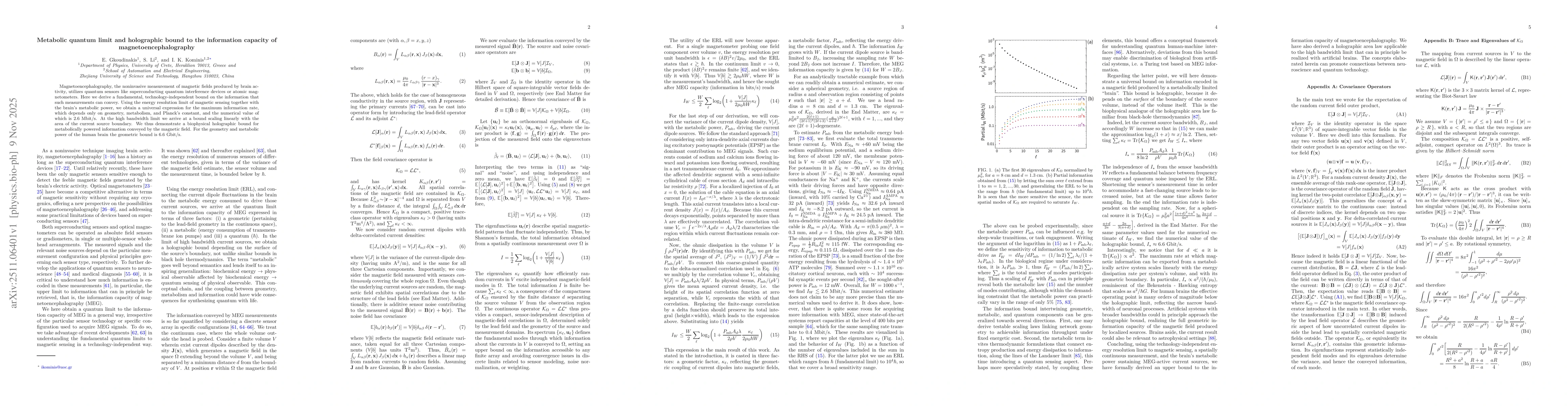 Thumbnail for Metabolic quantum limit and holographic bound to the information capacity of magnetoencephalography