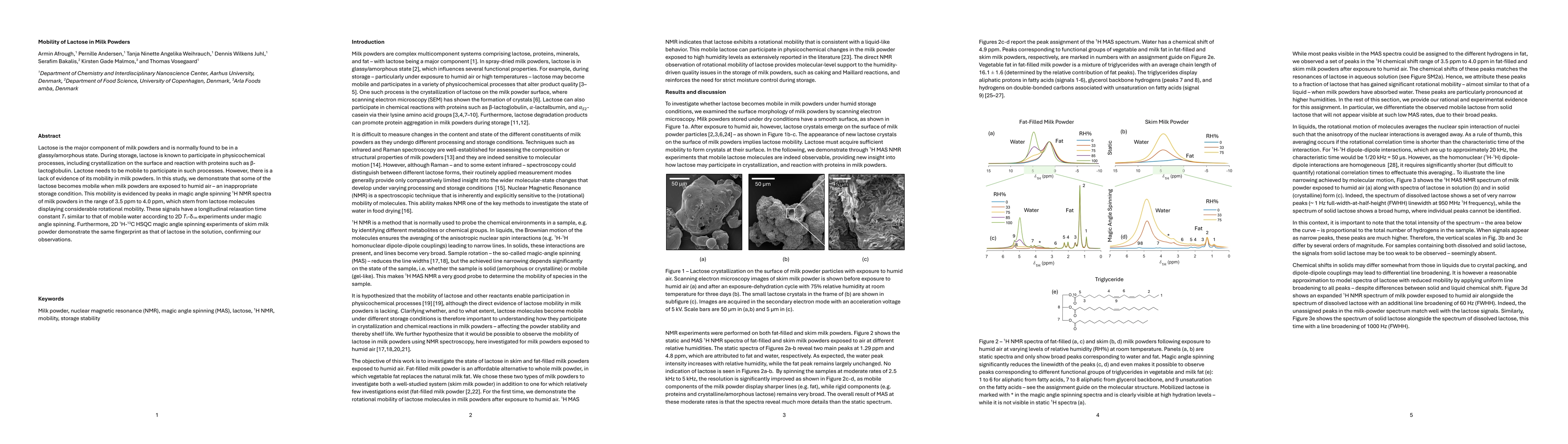 Thumbnail for Mobility of Lactose in Milk Powders
