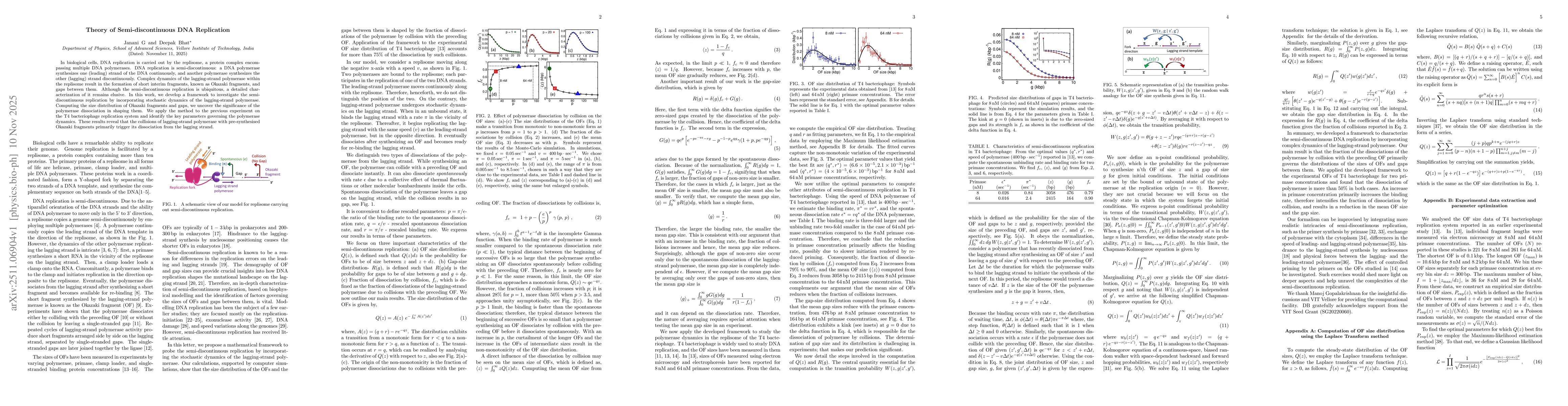 Thumbnail for Theory of Semi-discontinuous DNA Replication