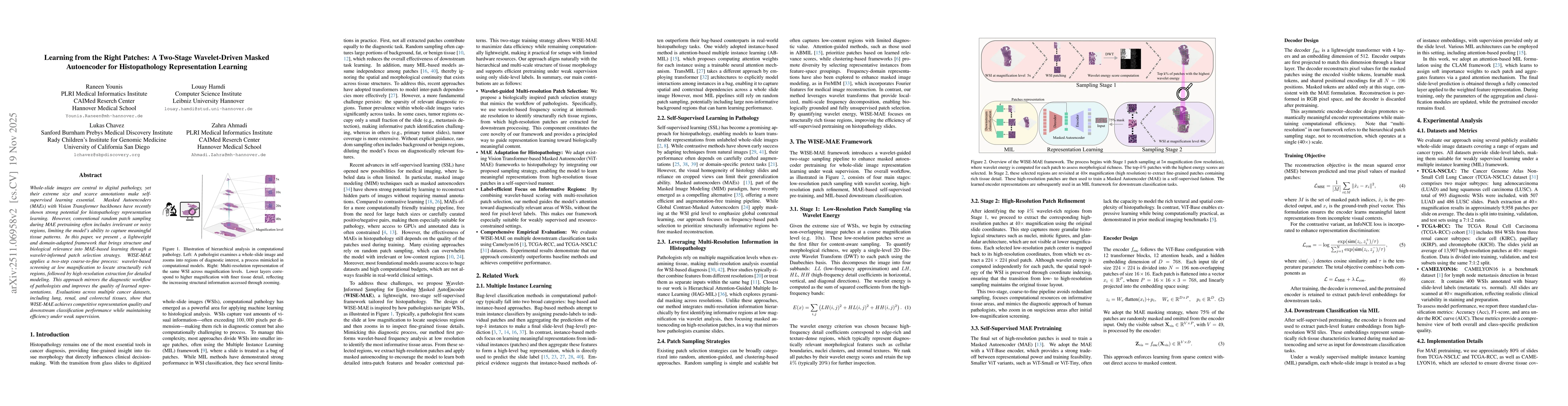 Thumbnail for Learning from the Right Patches: A Two-Stage Wavelet-Driven Masked Autoencoder for Histopathology Representation Learning
