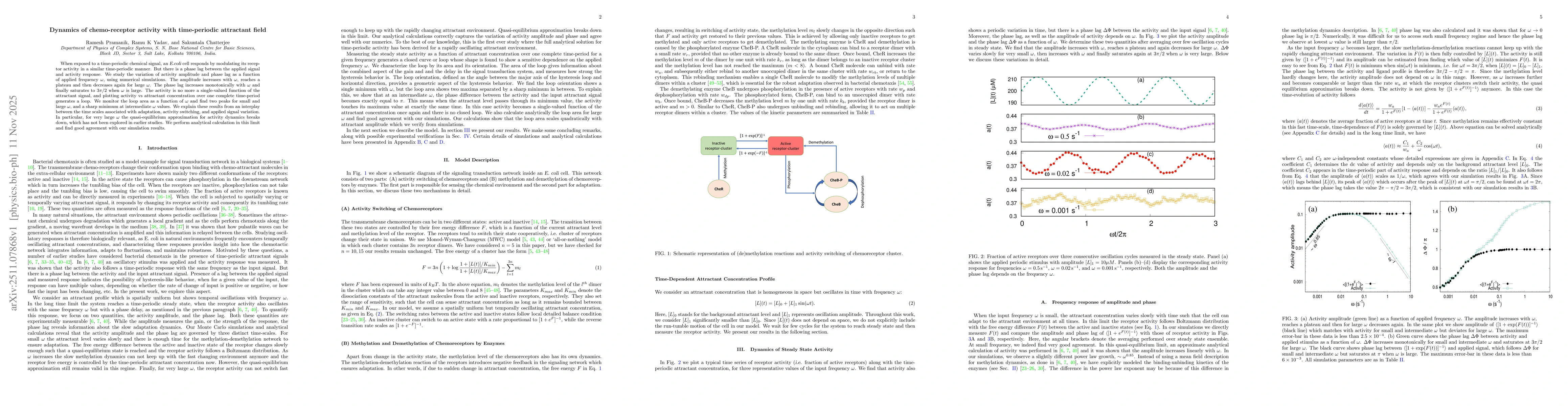 Thumbnail for Dynamics of chemo-receptor activity with time-periodic attractant field