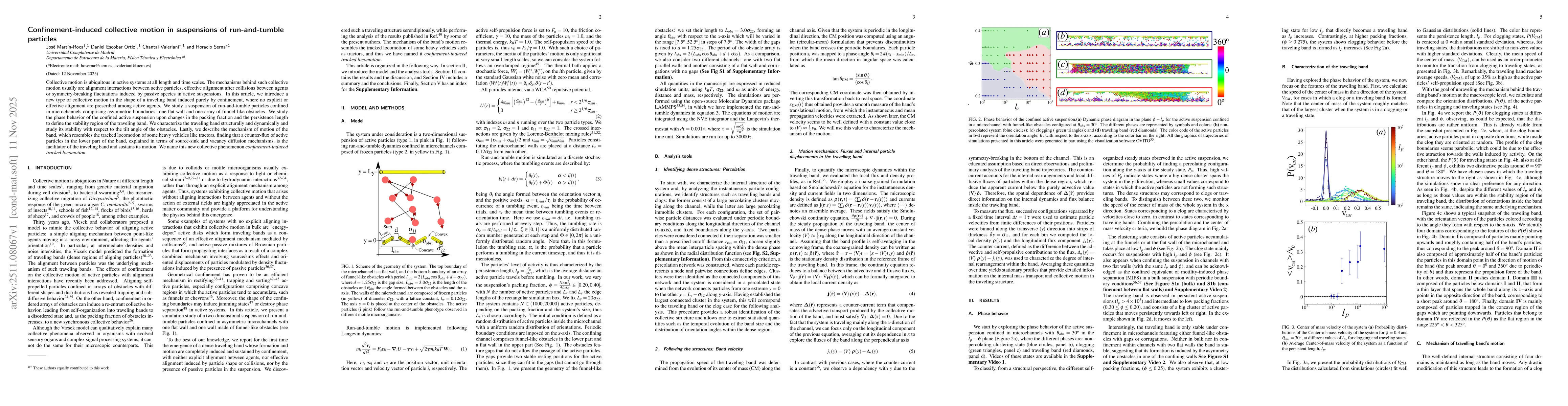 Thumbnail for Confinement-induced collective motion in suspensions of run-and-tumble particles