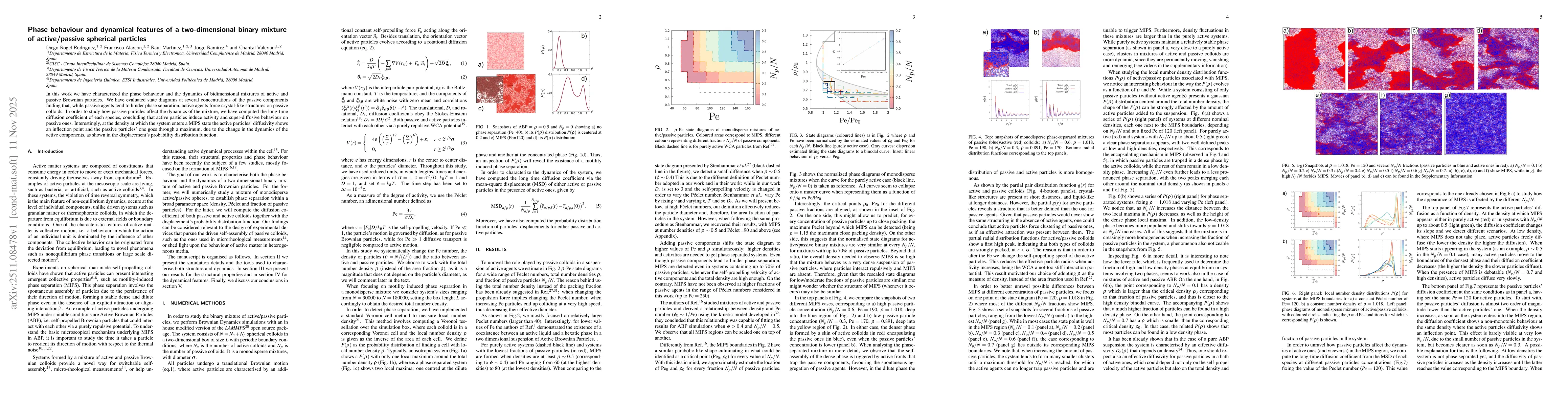 Thumbnail for Phase behaviour and dynamical features of a two-dimensional binary mixture of active/passive spherical particles