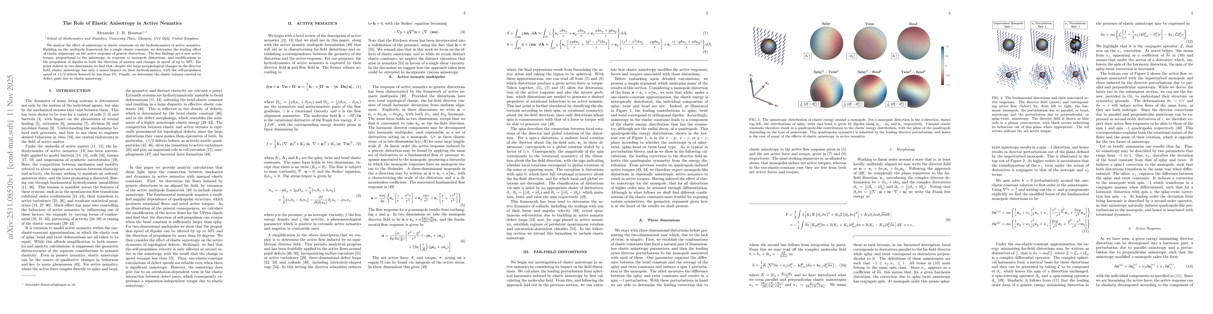 Thumbnail for The Role of Elastic Anisotropy in Active Nematics