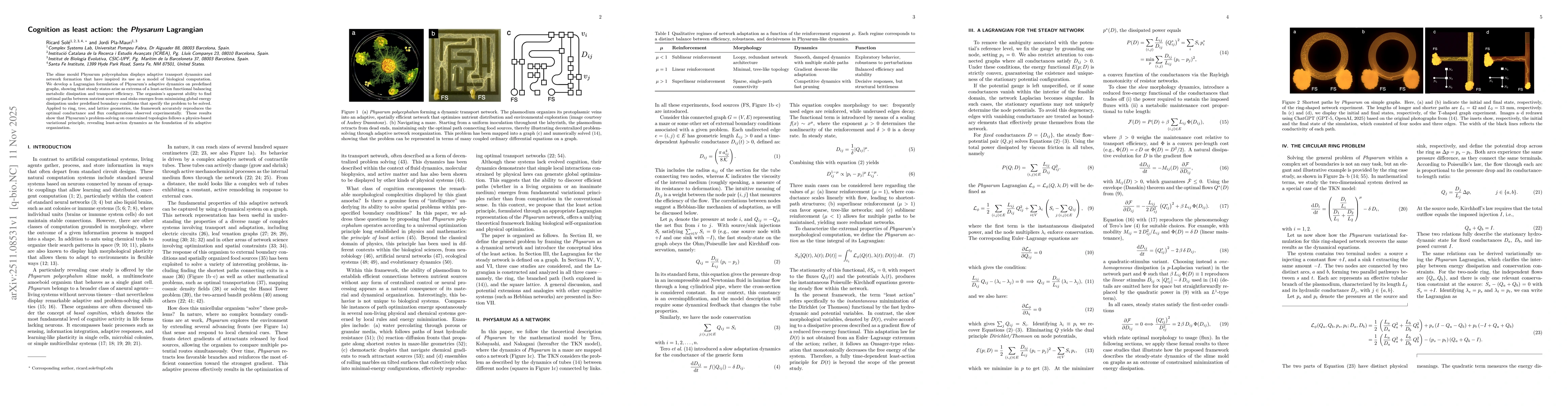 Thumbnail for Cognition as least action: the Physarum Lagrangian