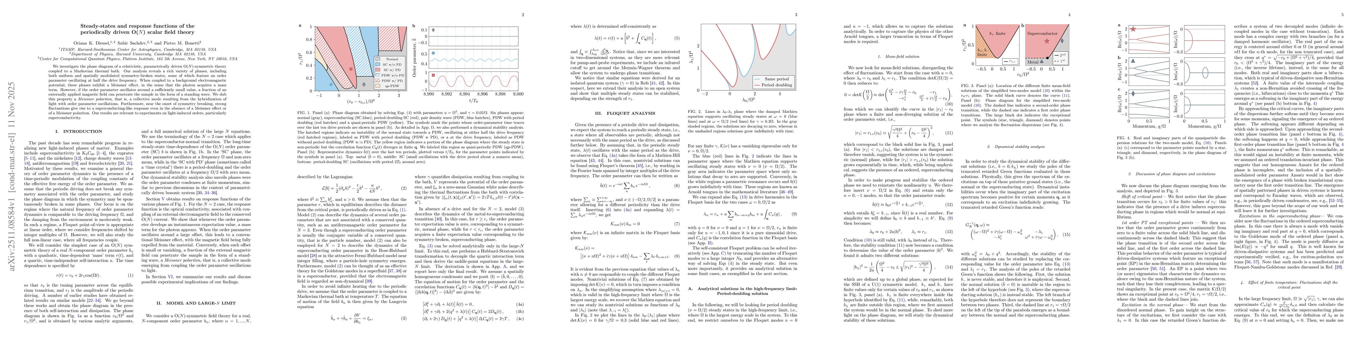 Thumbnail for Steady-states and response functions of the periodically driven O(N) scalar field theory