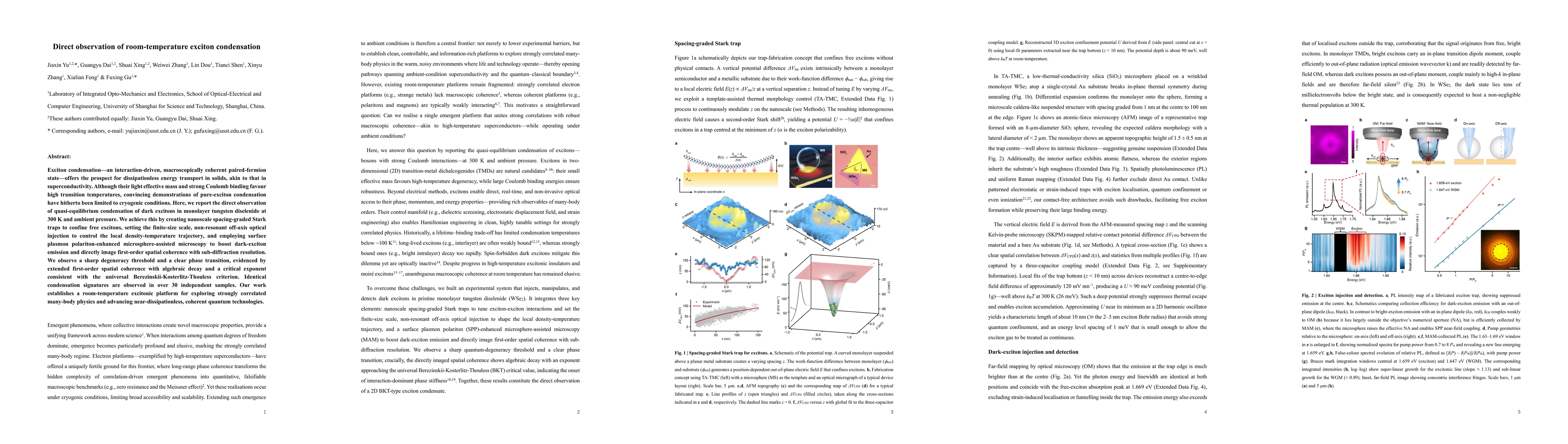Thumbnail for Direct observation of room-temperature exciton condensation