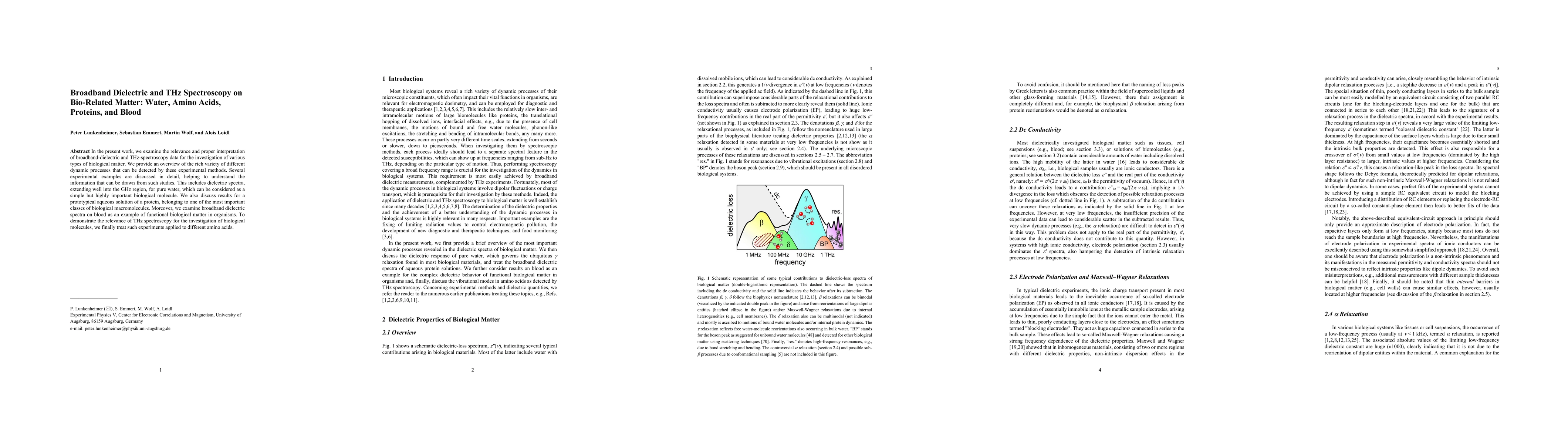 Thumbnail for Broadband Dielectric and THz Spectroscopy on Bio-Related Matter: Water, Amino Acids, Proteins, and Blood