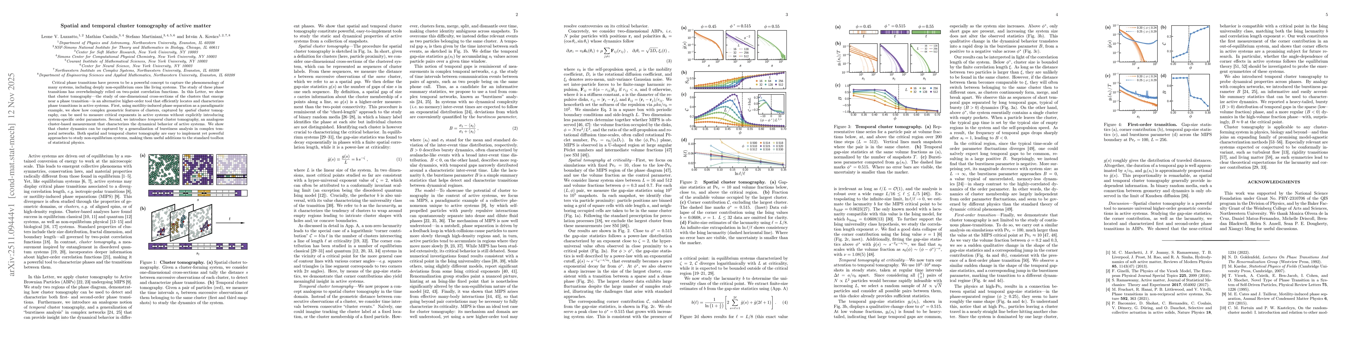 Thumbnail for Spatial and Temporal Cluster Tomography of Active Matter
