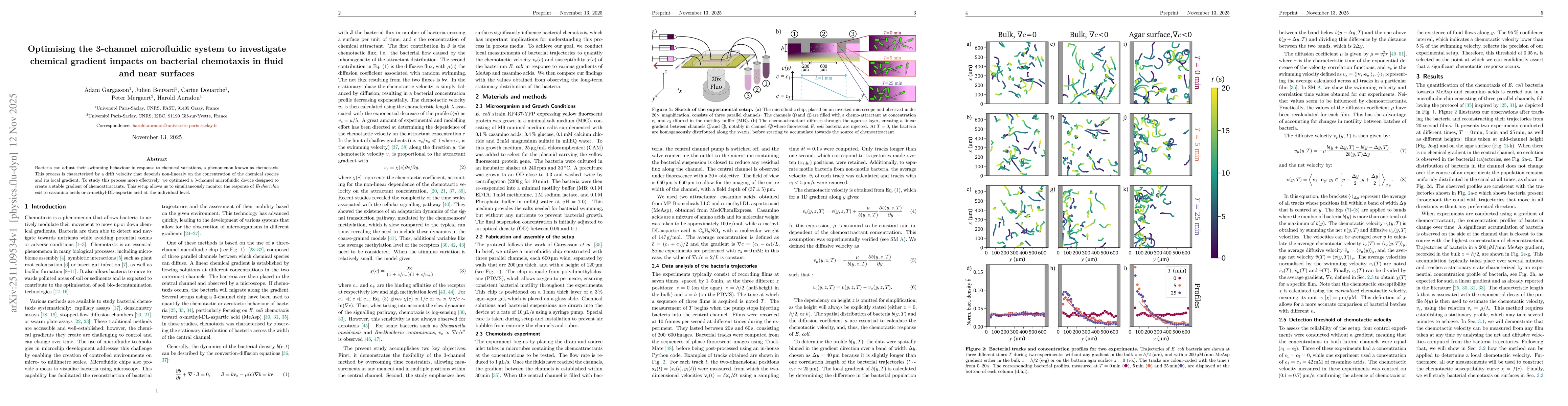 Thumbnail for Optimising the 3-channel microfluidic system to investigate chemical gradient impacts on bacterial chemotaxis in fluid and near surfaces