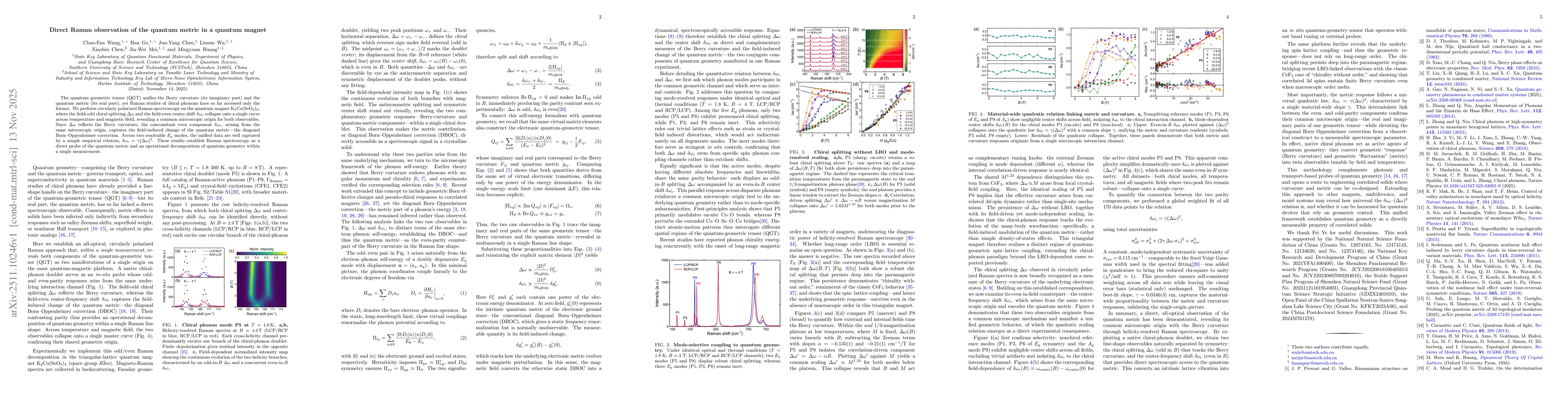 Thumbnail for Direct Raman observation of the quantum metric in a quantum magnet
