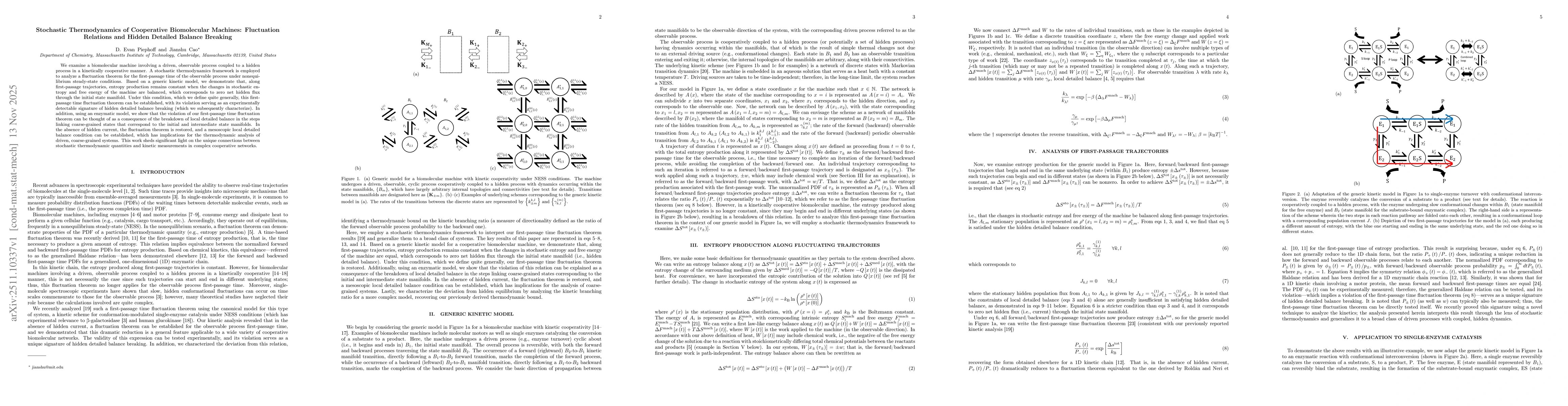 Thumbnail for Stochastic Thermodynamics of Cooperative Biomolecular Machines: Fluctuation Relations and Hidden Detailed Balance Breaking