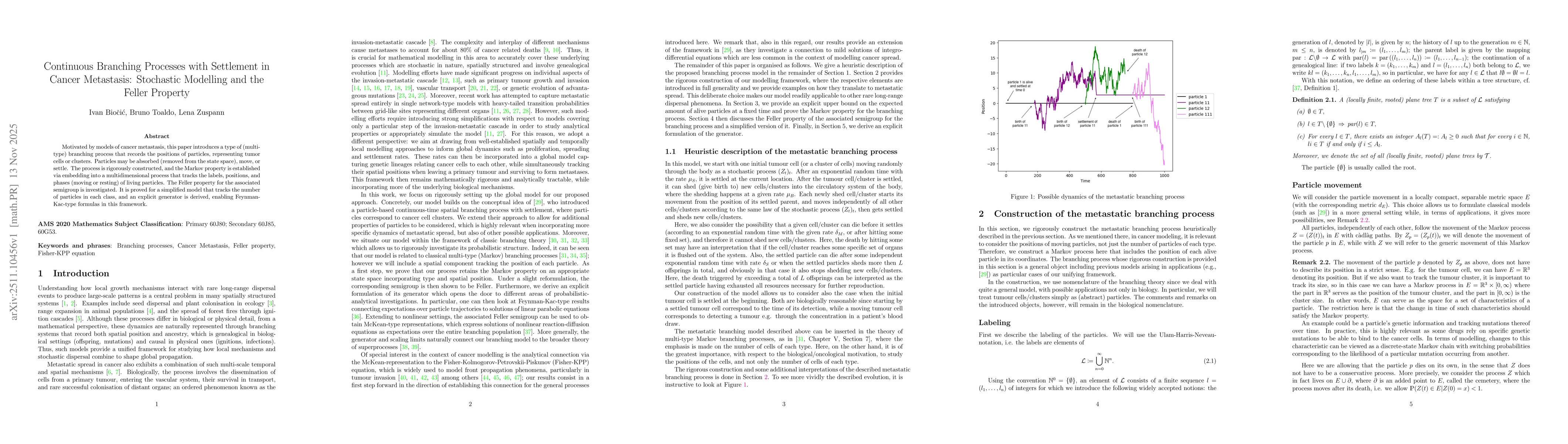 Thumbnail for Continuous Branching Processes with Settlement in Cancer Metastasis: Stochastic Modelling and the Feller Property