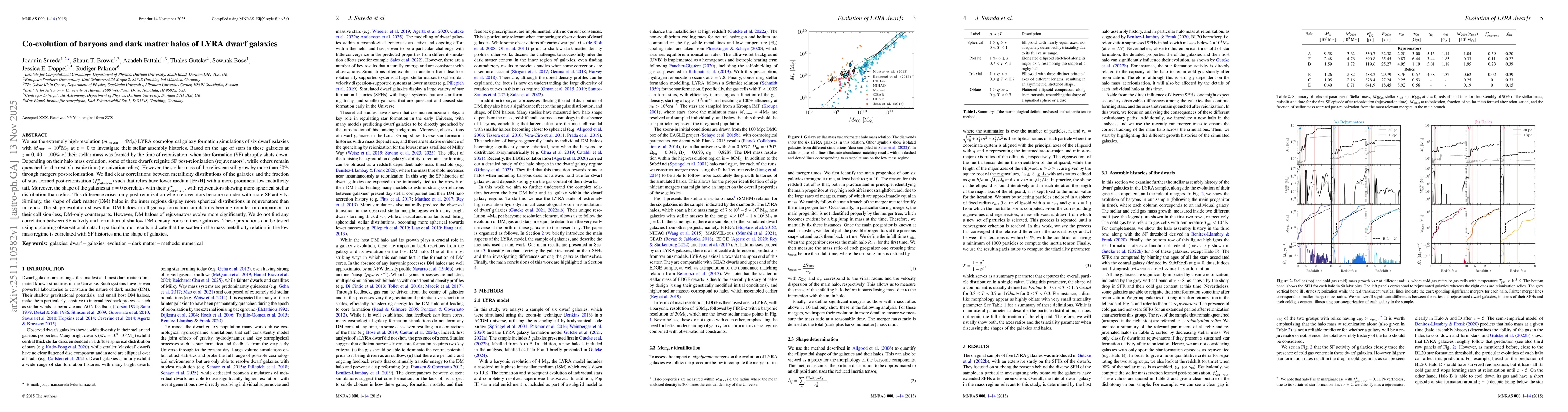 Thumbnail for Co-evolution of baryons and dark matter halos of LYRA dwarf galaxies