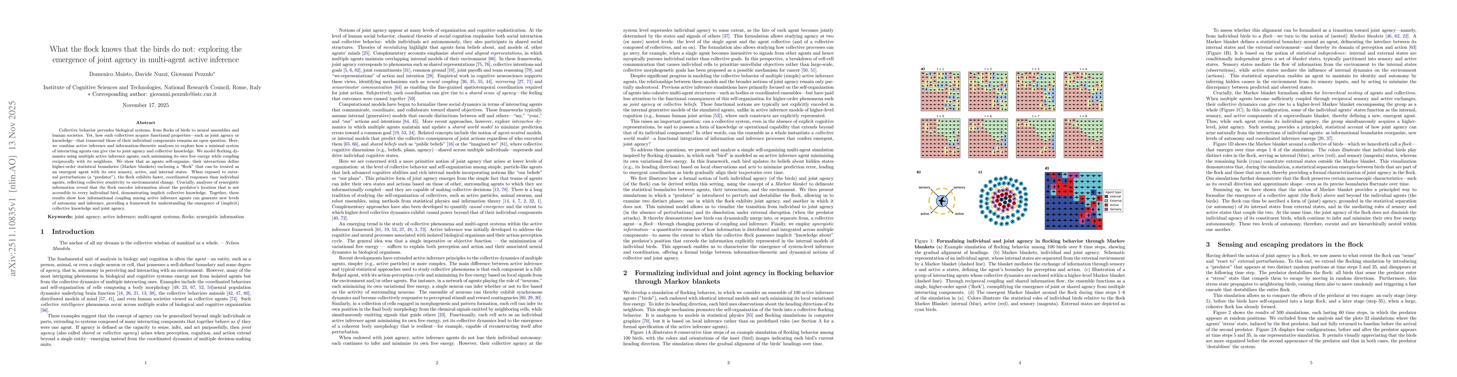 Thumbnail for What the flock knows that the birds do not: exploring the emergence of joint agency in multi-agent active inference