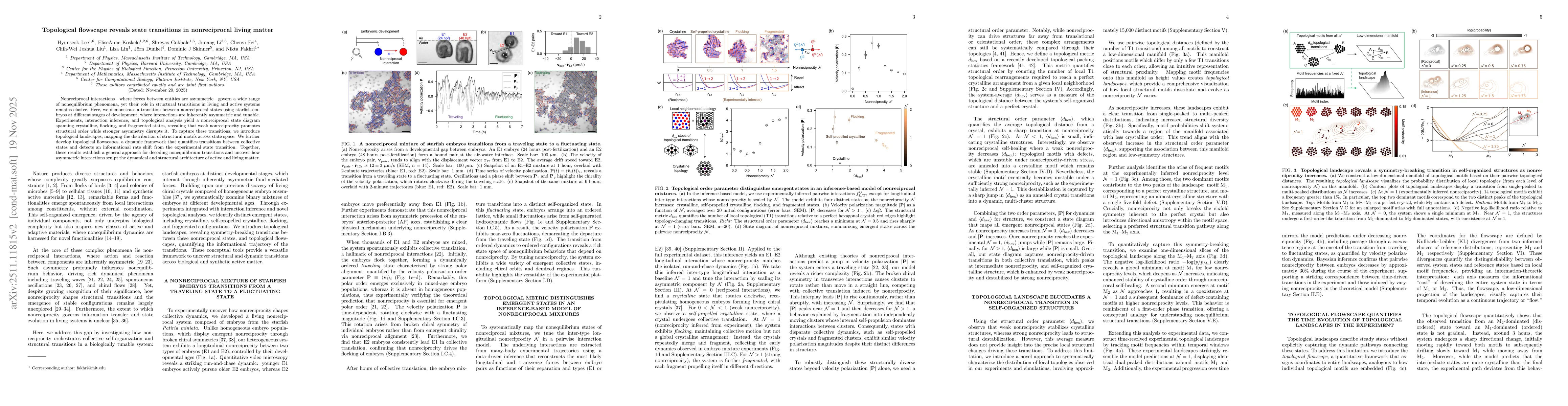 Thumbnail for Topological flowscape reveals state transitions in nonreciprocal living matter
