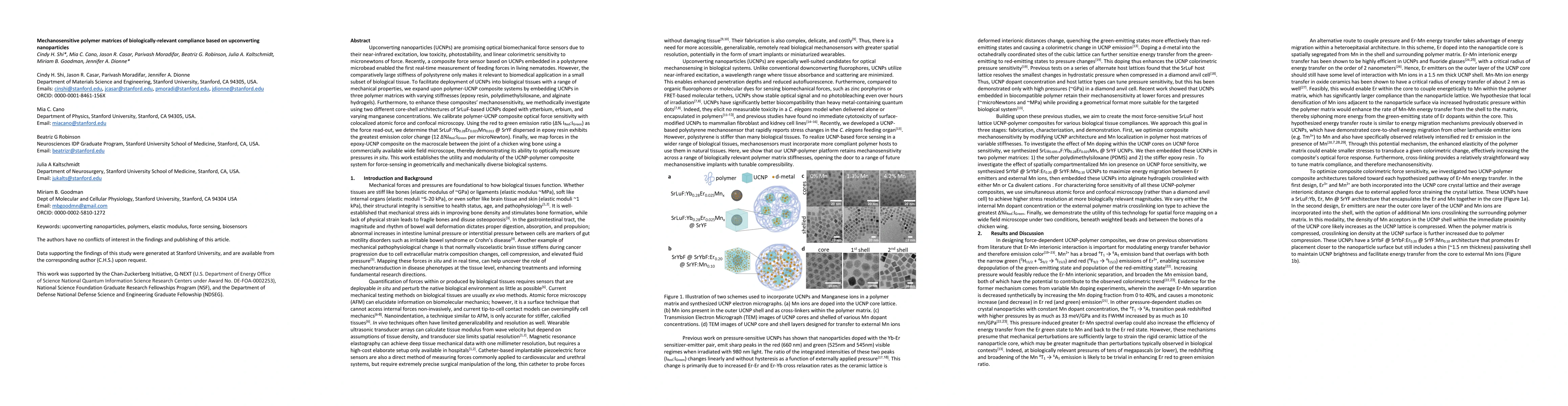 Thumbnail for Mechanosensitive polymer matrices of biologically-relevant compliance based on upconverting nanoparticles