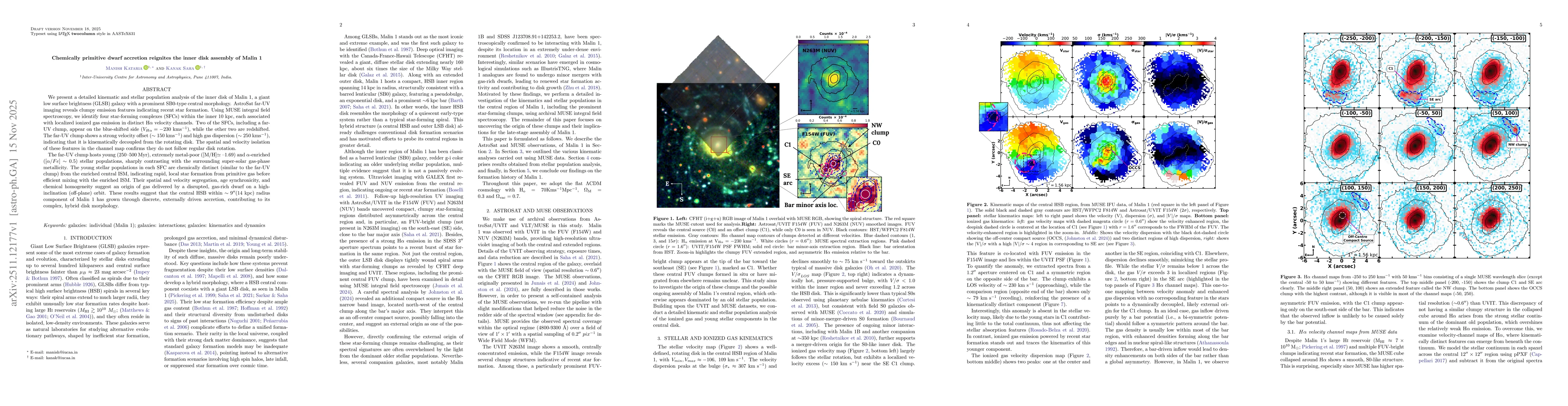Thumbnail for Chemically primitive dwarf accretion reignites the inner disk assembly of Malin 1