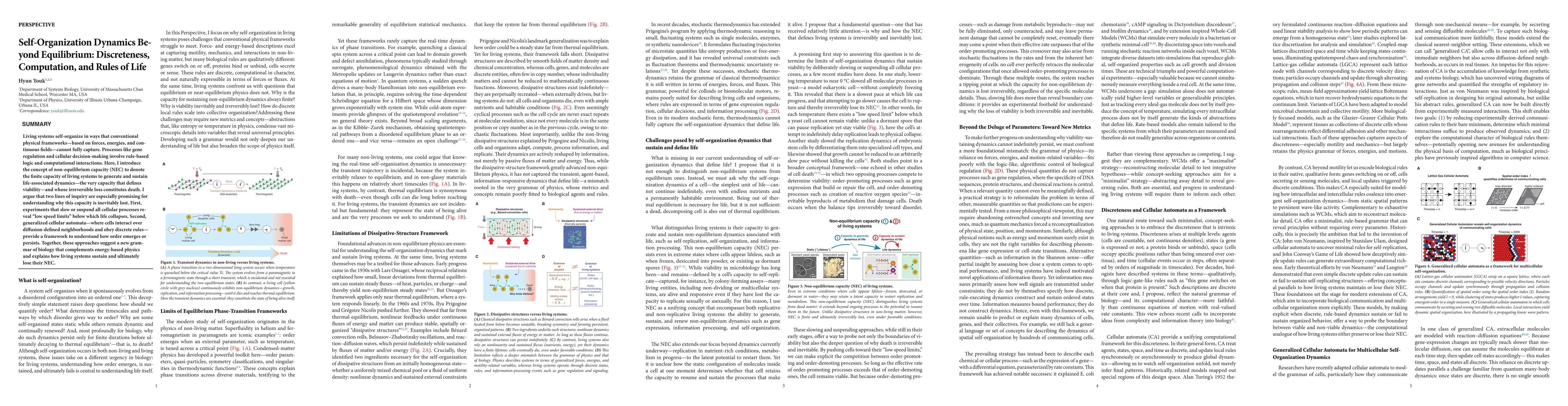 Thumbnail for Self-Organization Dynamics Beyond Equilibrium: Discreteness, Computation, and Rules of Life