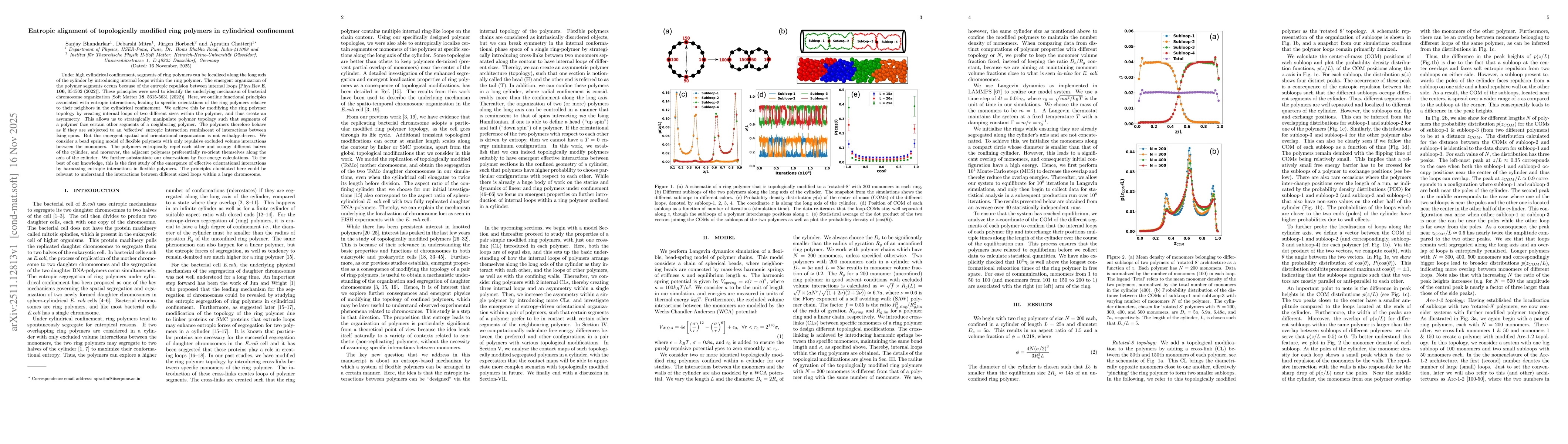 Thumbnail for Entropic alignment of topologically modified ring polymers in cylindrical confinement