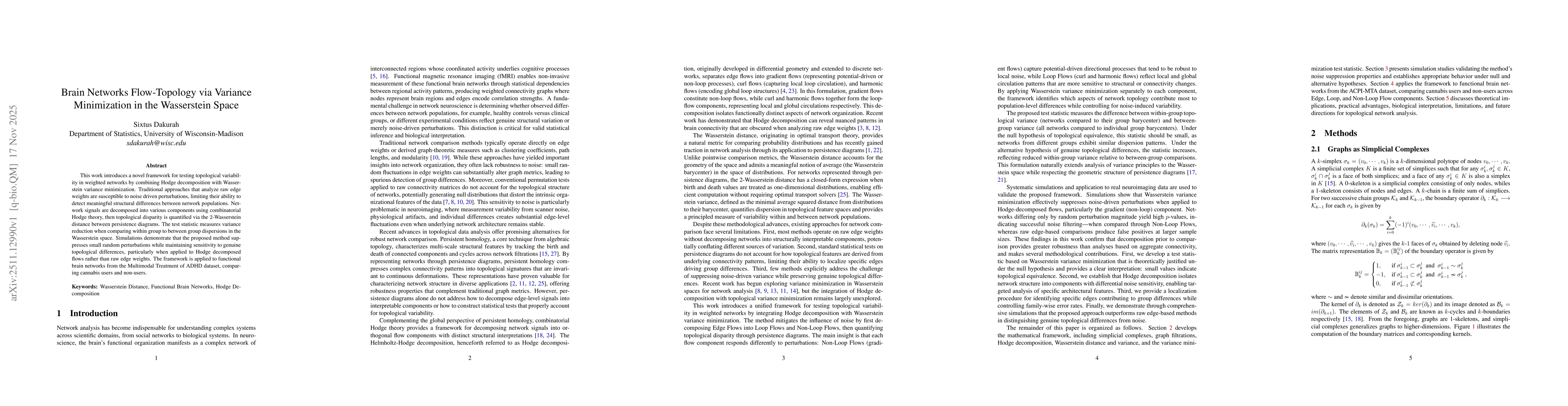 Thumbnail for Brain Networks Flow-Topology via Variance Minimization in the Wasserstein Space
