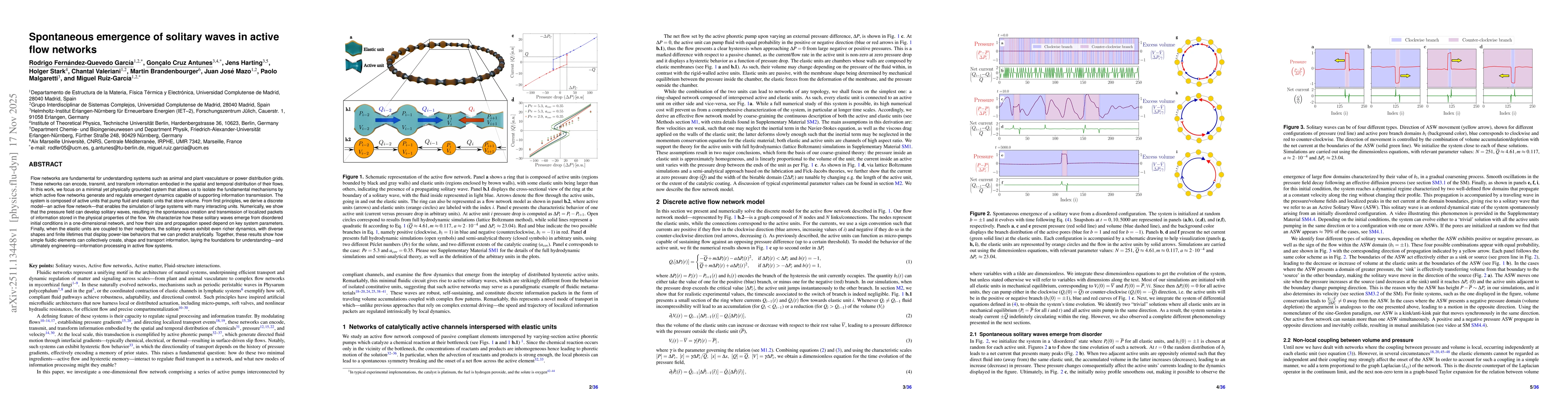Thumbnail for Spontaneous emergence of solitary waves in active flow networks