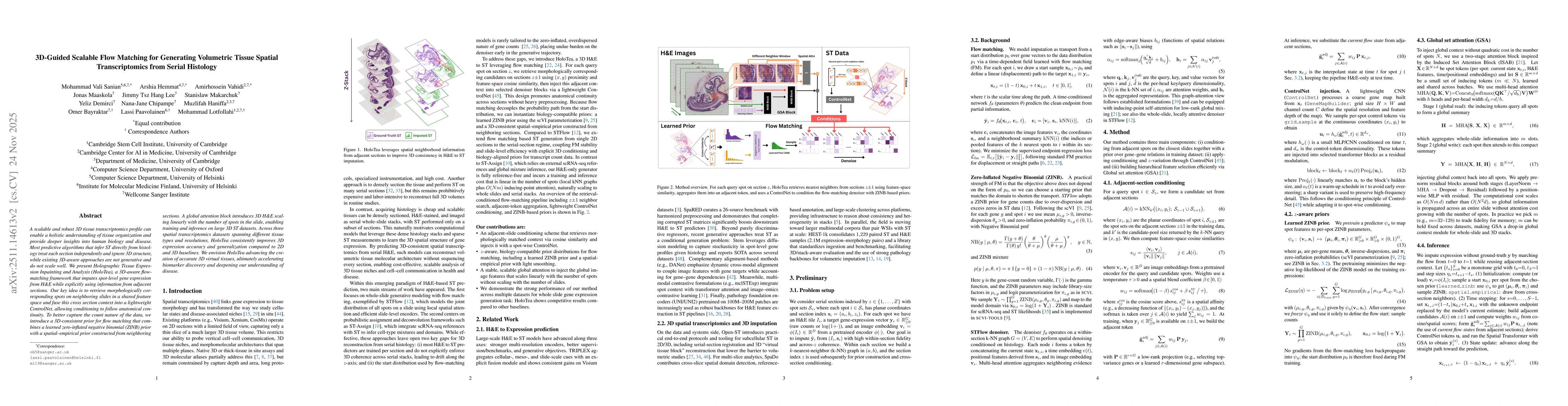 Thumbnail for 3D-Guided Scalable Flow Matching for Generating Volumetric Tissue Spatial Transcriptomics from Serial Histology