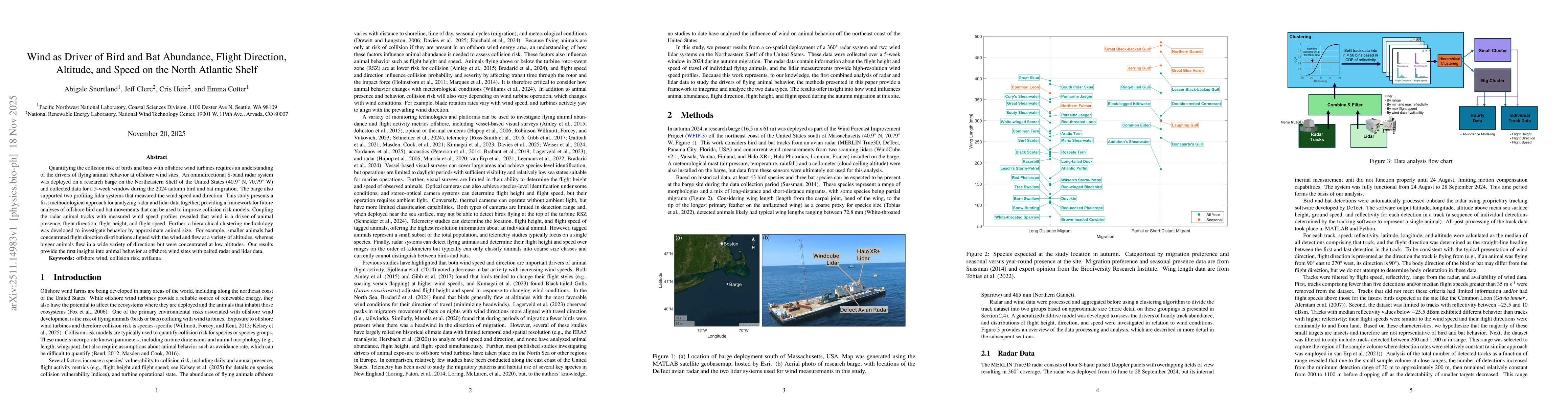 Thumbnail for Wind as Driver of Bird and Bat Abundance, Flight Direction, Altitude, and Speed on the North Atlantic Shelf