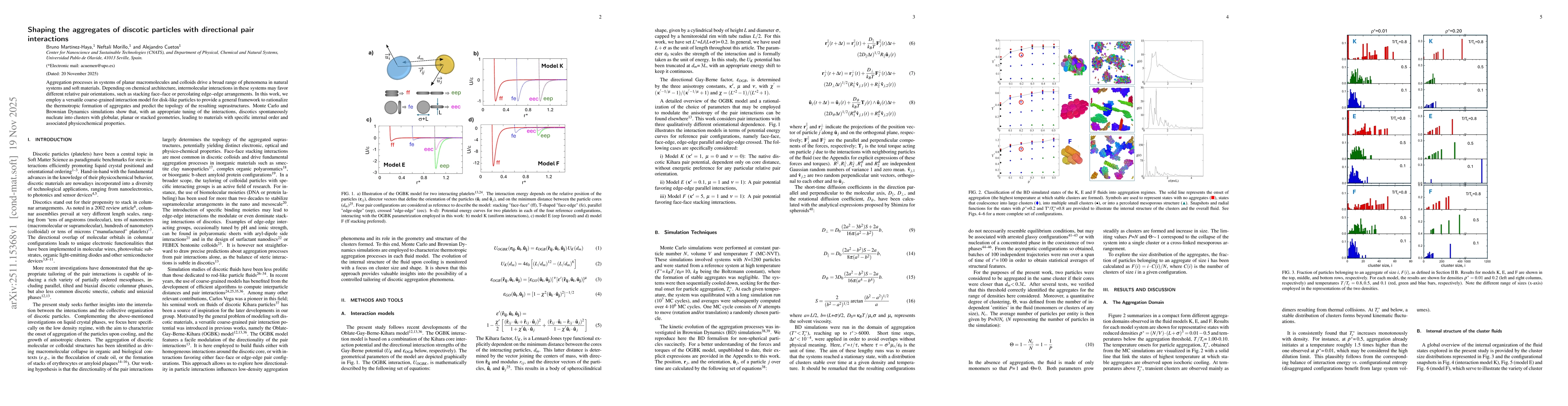 Thumbnail for Shaping the aggregates of discotic particles with directional pair interactions
