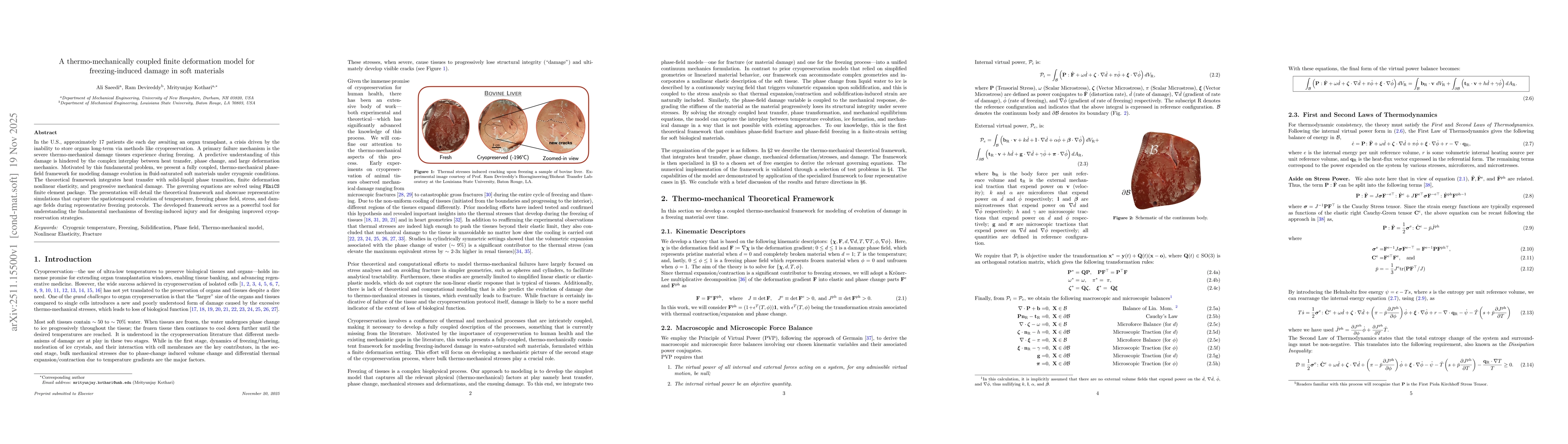 Thumbnail for A thermo-mechanically coupled finite deformation model for freezing-induced damage in soft materials