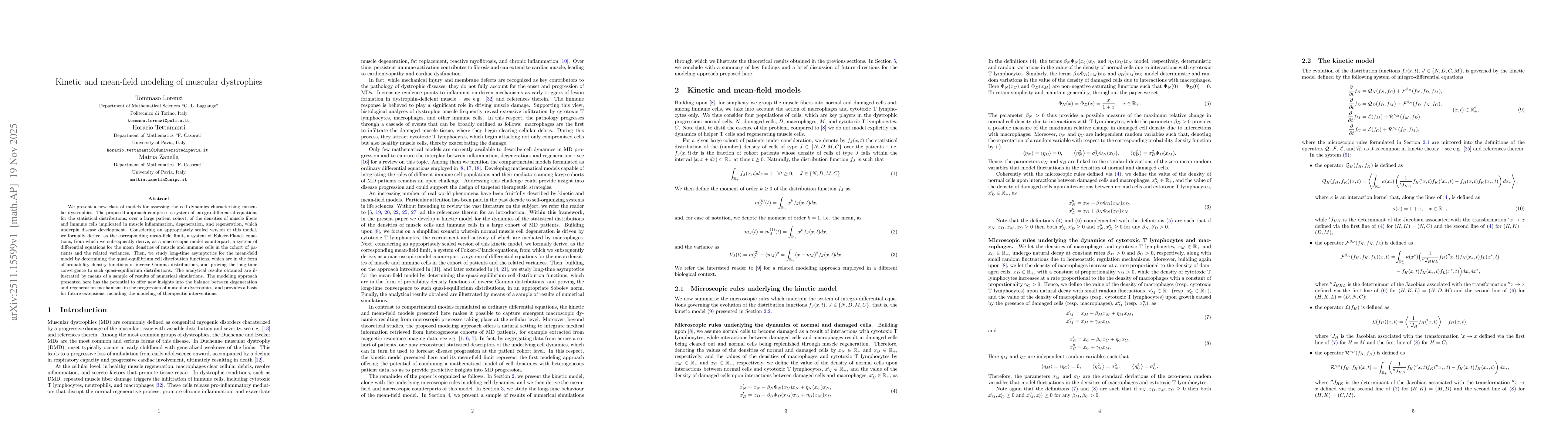 Thumbnail for Kinetic and mean-field modeling of muscular dystrophies