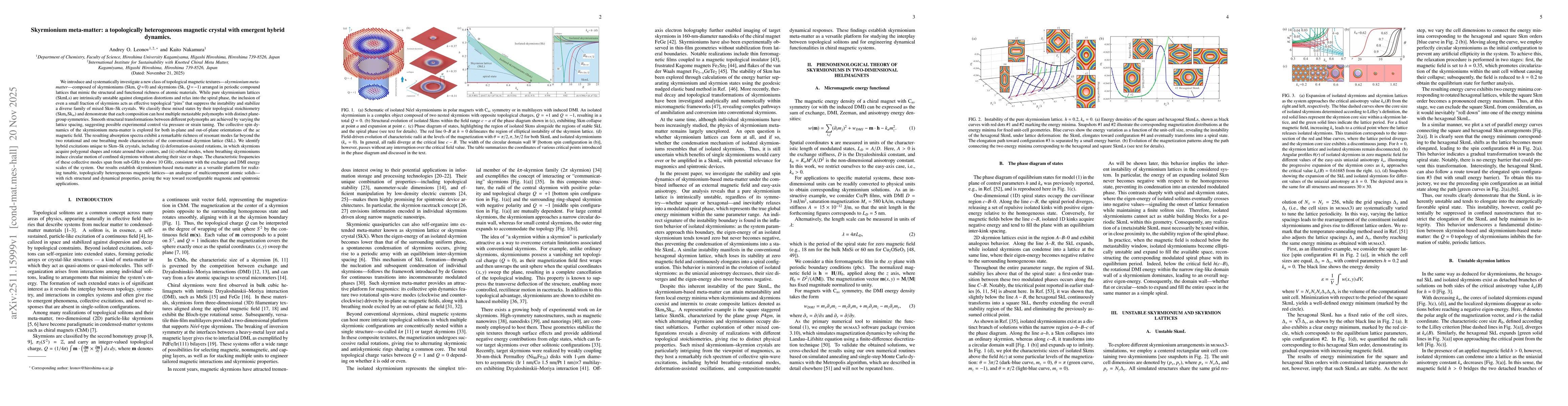 Thumbnail for Skyrmionium meta-matter: a topologically heterogeneous magnetic crystal with emergent hybrid dynamics