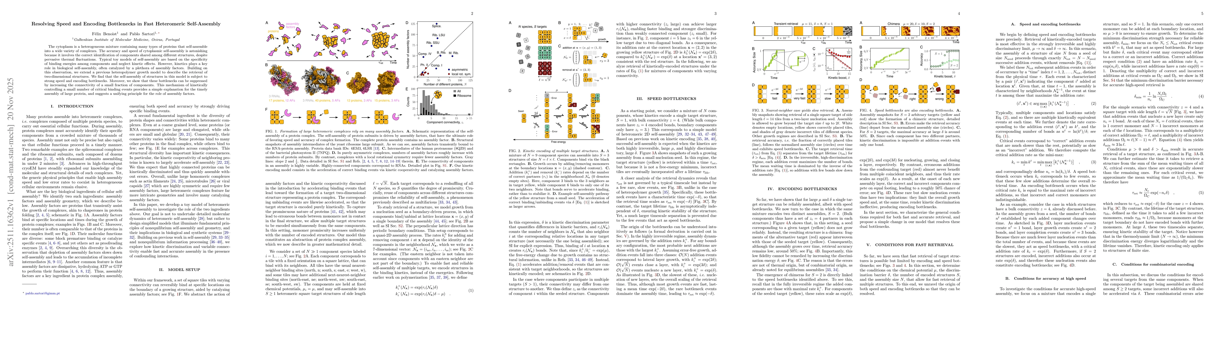 Thumbnail for Resolving Speed and Encoding Bottlenecks in Fast Heteromeric Self-Assembly
