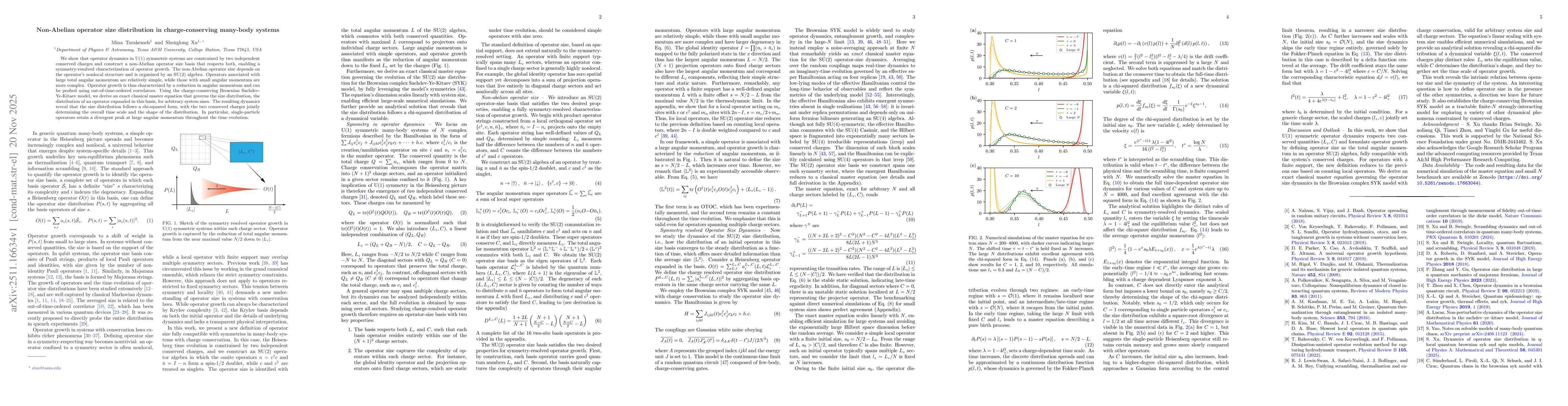Thumbnail for Non-Abelian operator size distribution in charge-conserving many-body systems