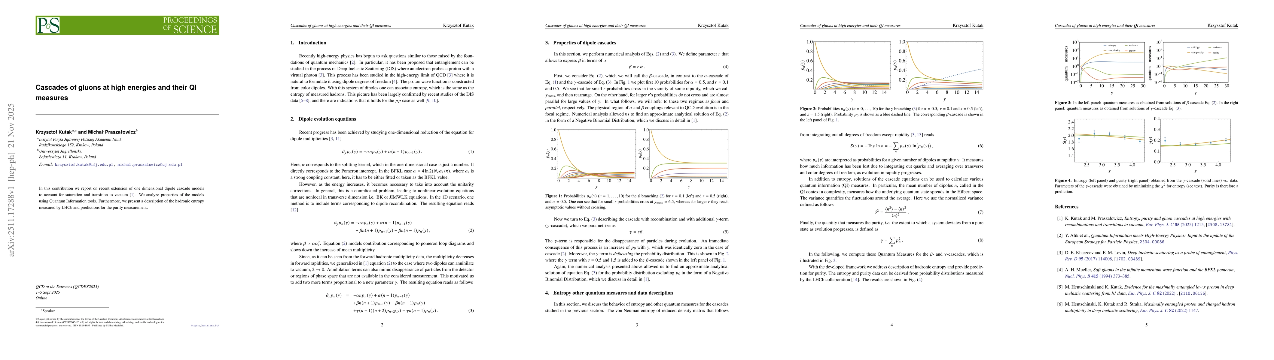 Thumbnail for Cascades of gluons at high energies and their QI measures