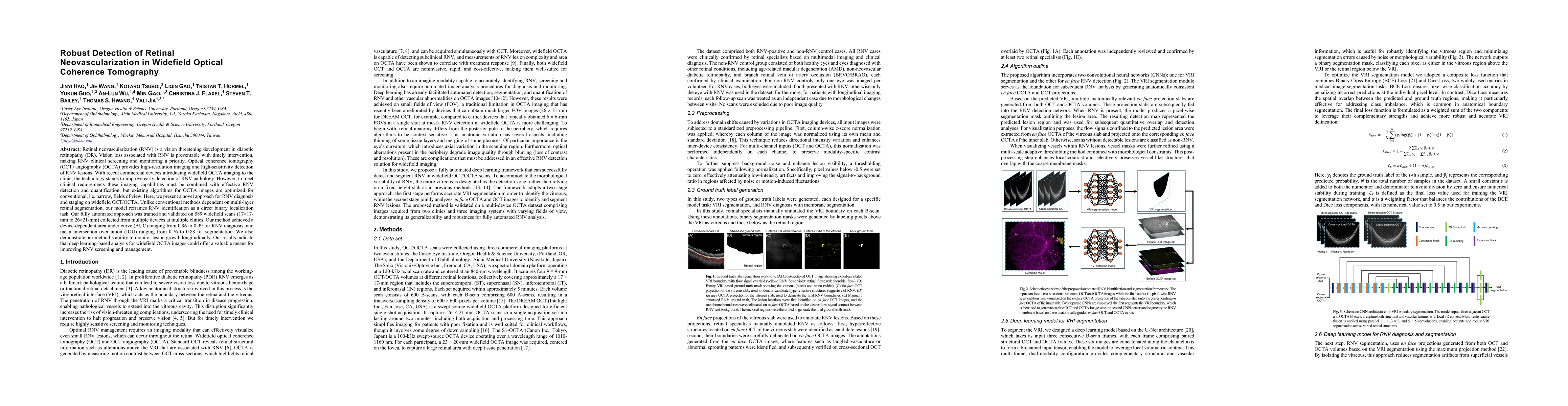 Thumbnail for Robust Detection of Retinal Neovascularization in Widefield Optical Coherence Tomography
