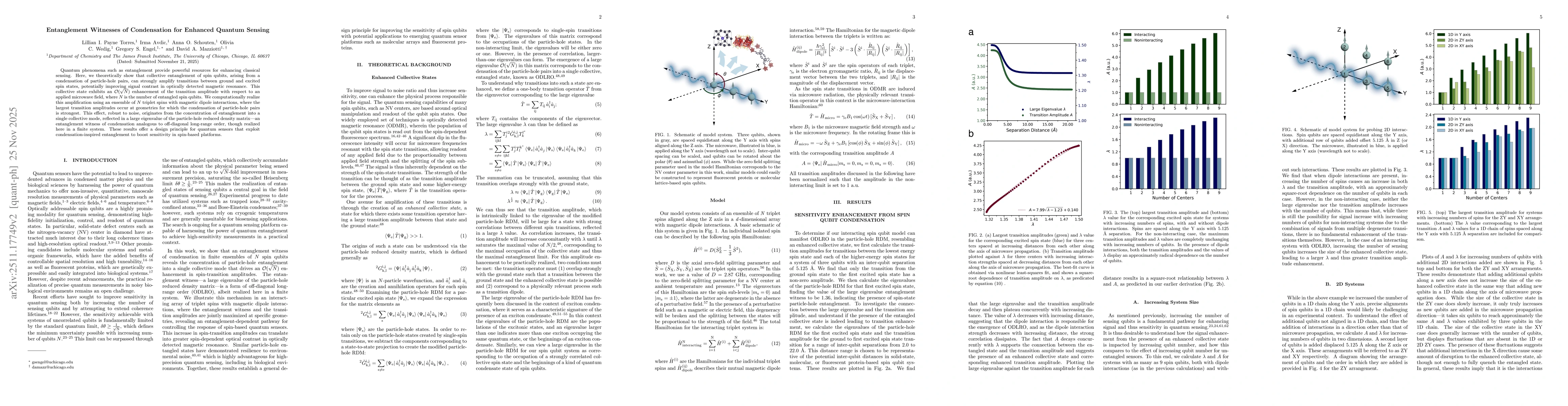 Thumbnail for Entanglement Witnesses of Condensation for Enhanced Quantum Sensing