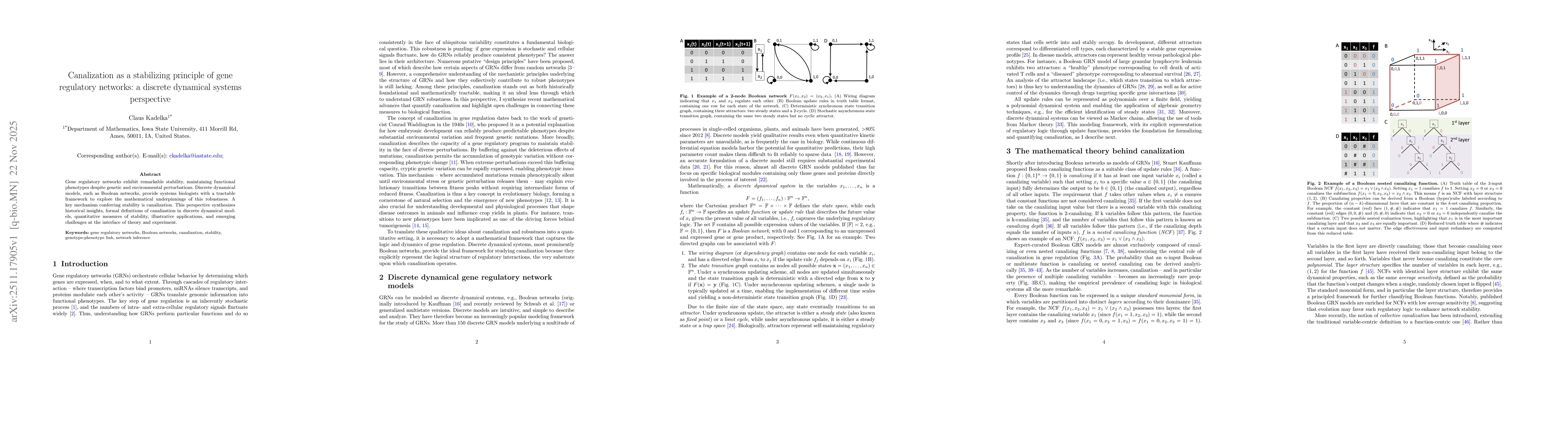 Thumbnail for Canalization as a stabilizing principle of gene regulatory networks: a discrete dynamical systems perspective
