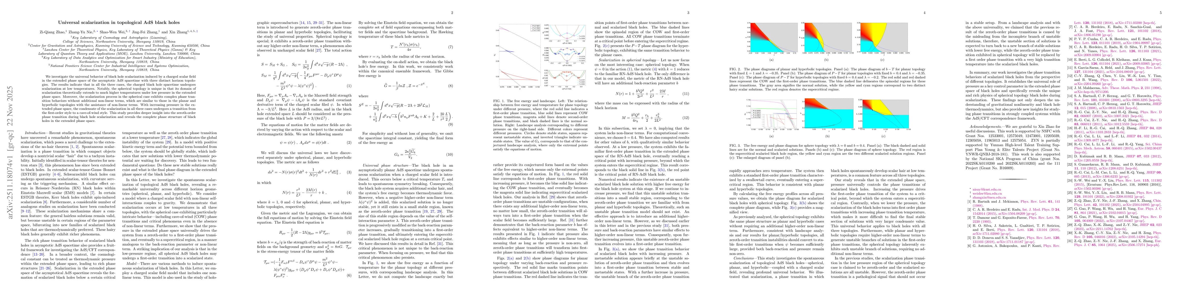 Thumbnail for Universal scalarization in topological AdS black holes