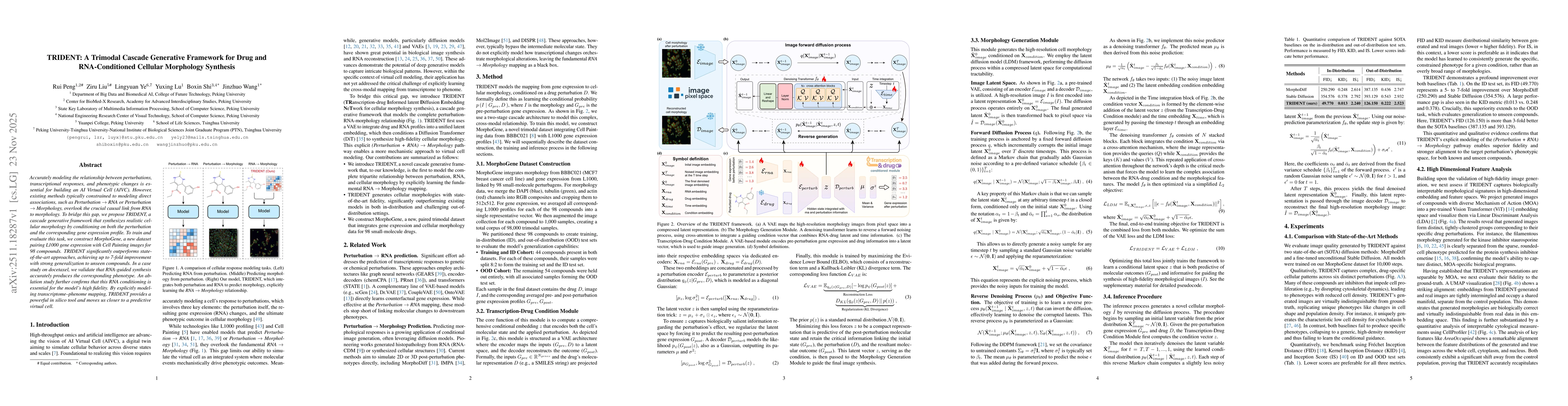 Thumbnail for TRIDENT: A Trimodal Cascade Generative Framework for Drug and RNA-Conditioned Cellular Morphology Synthesis