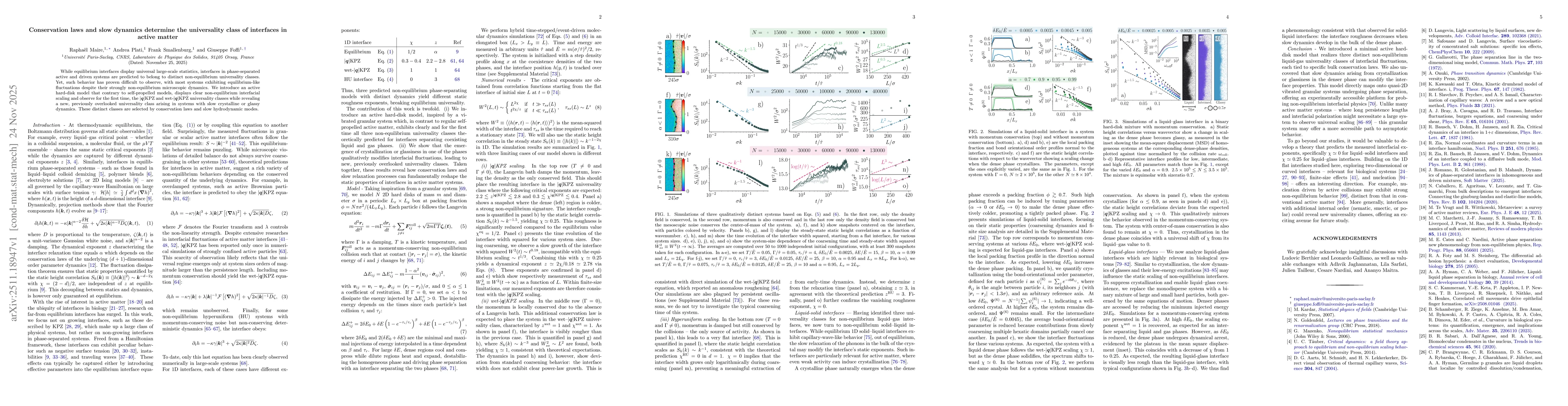 Thumbnail for Conservation laws and slow dynamics determine the universality class of interfaces in active matter